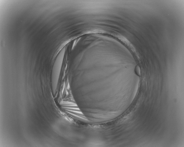 X0000065980945200603241936