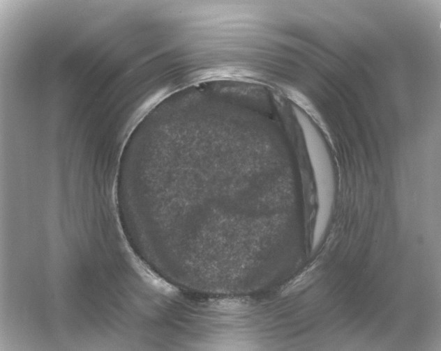 X0000065980946200603241936