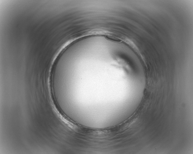 X0000065980947200603241936