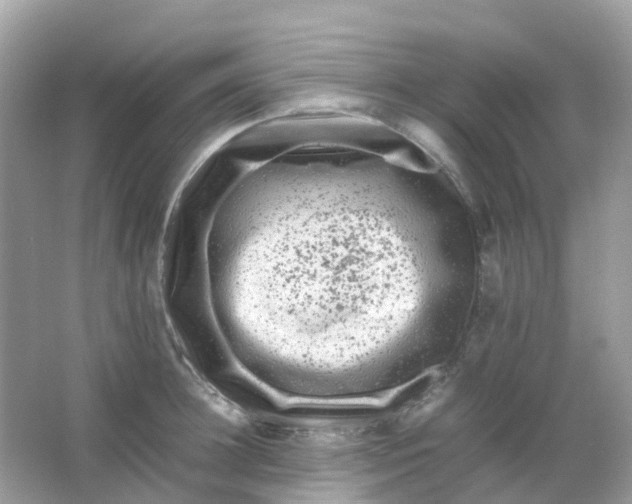 X0000065980948200603241936