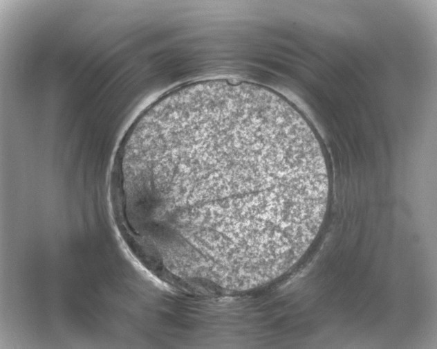 X0000065980949200603241936