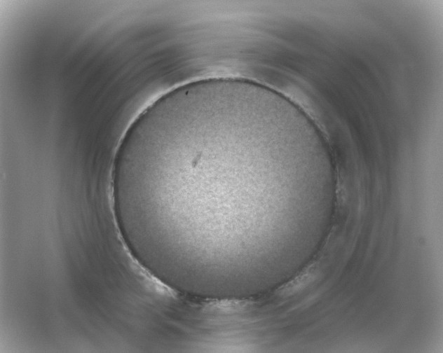 X0000065980950200603241936