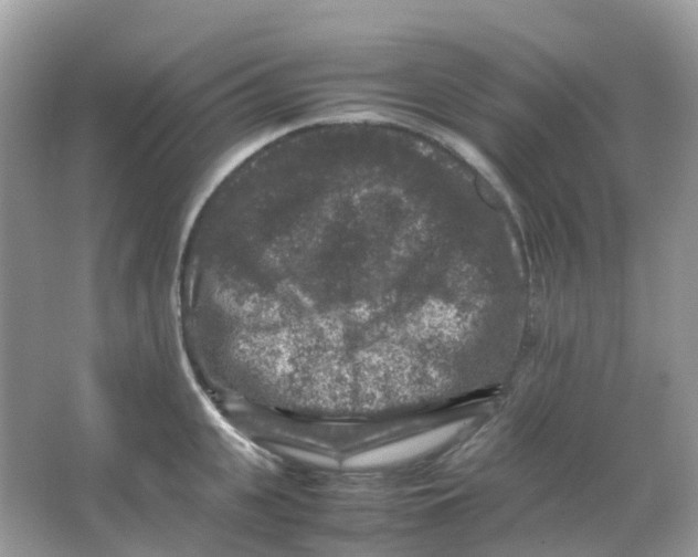 X0000065980951200603241936