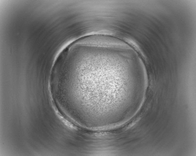 X0000065980952200603241936