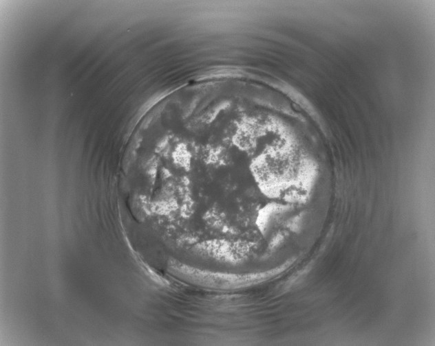 X0000065980953200603241936