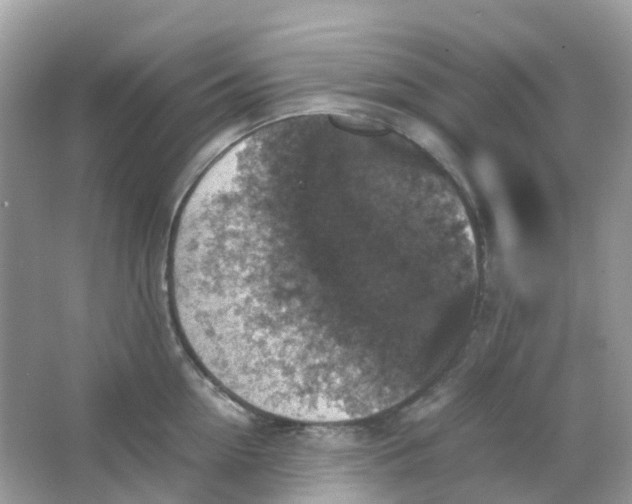 X0000065980954200603241936