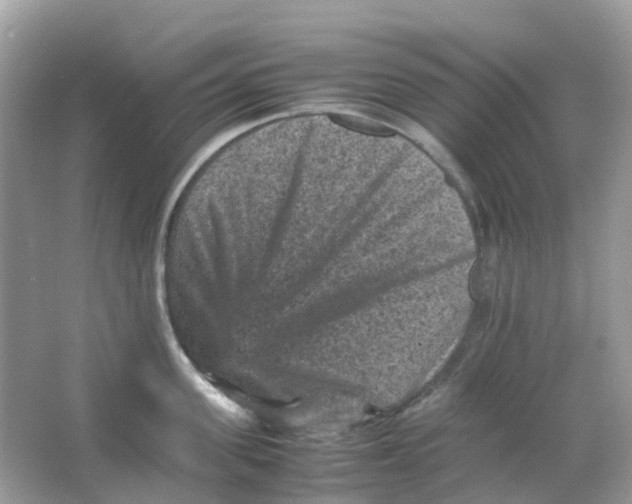 X0000065980955200603241936