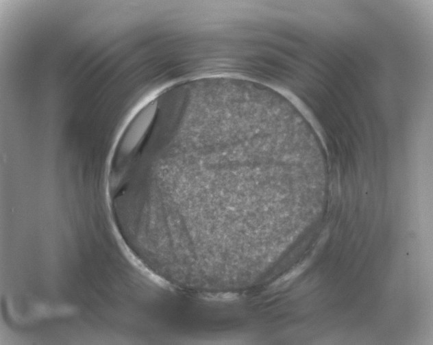 X0000065980957200603241936