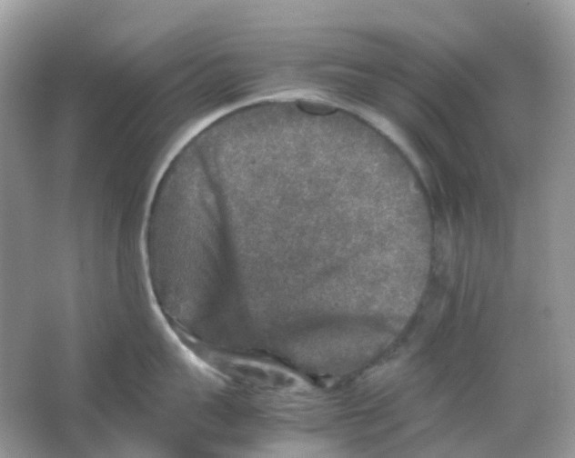 X0000065980959200603241936