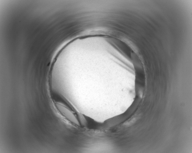 X0000065980960200603241936