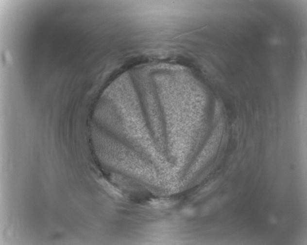 X0000065980961200603241935