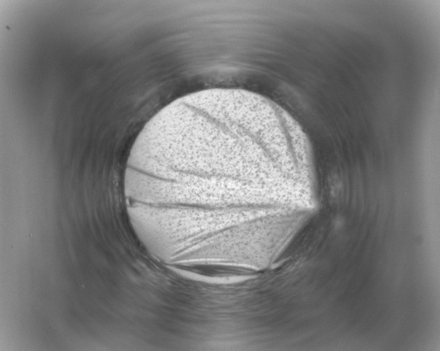 X0000065980964200603241935