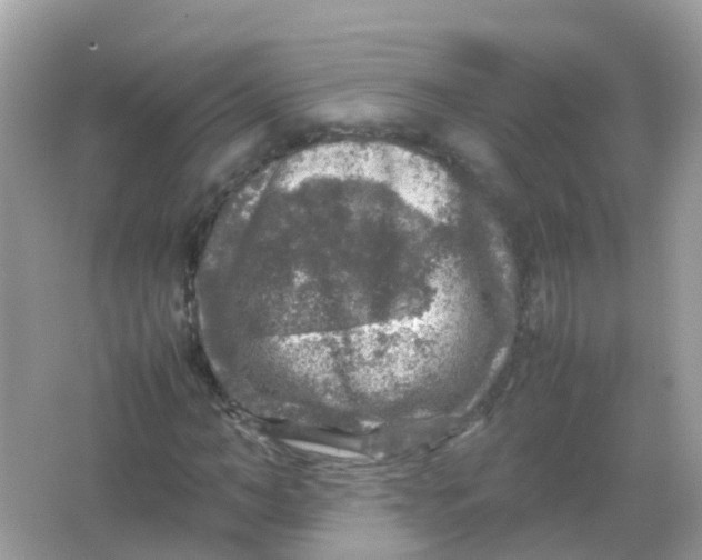 X0000065980966200603241935