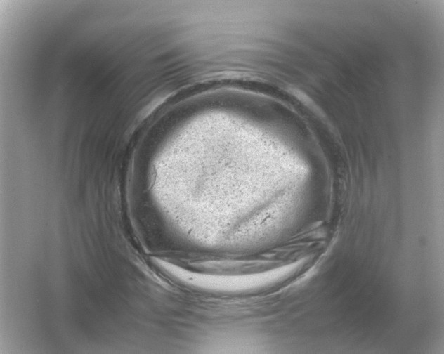 X0000065980969200603241935