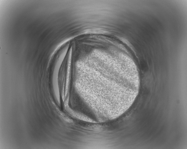 X0000065980971200603241935