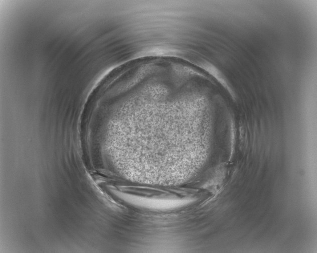 X0000065980972200603241935