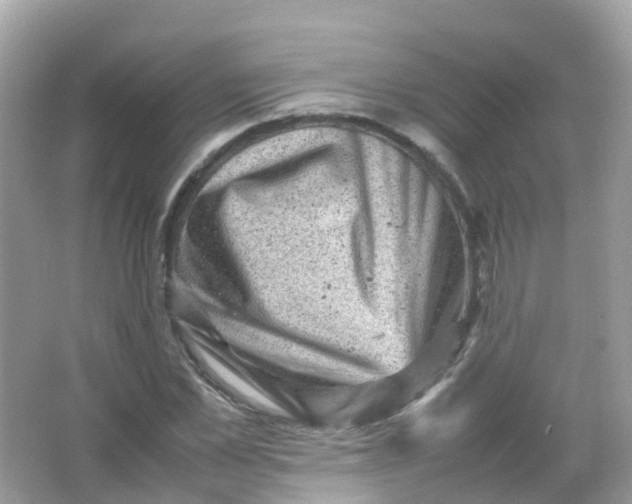 X0000065980973200603241935