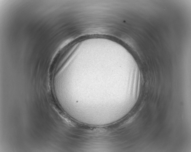 X0000065980974200603241935