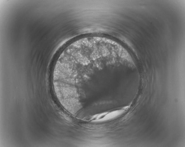 X0000065980975200603241935