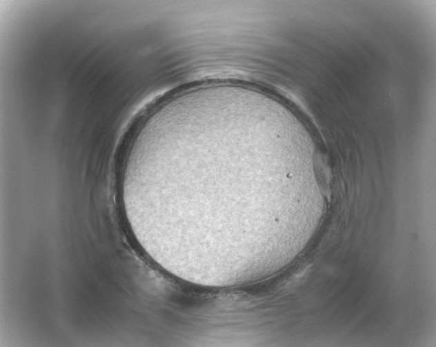 X0000065980979200603241935