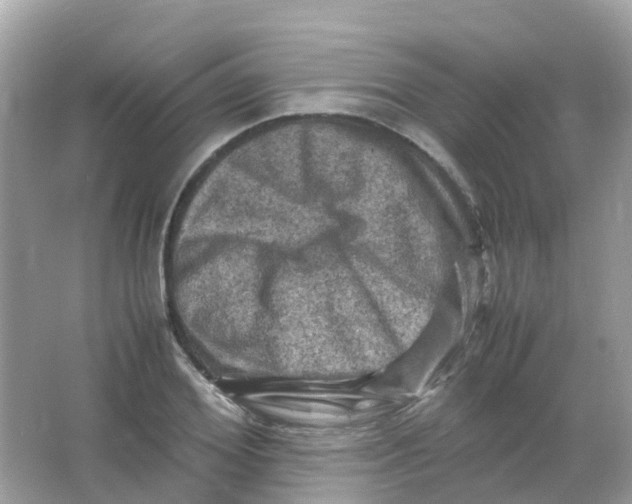 X0000065980980200603241935