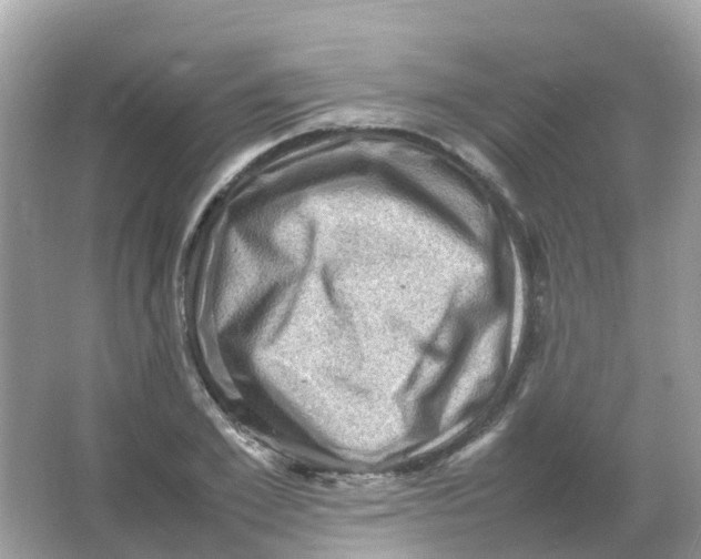 X0000065980981200603241935