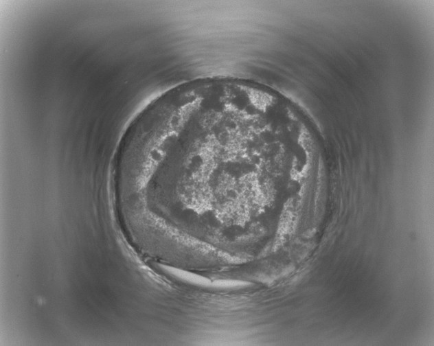 X0000065980983200603241935