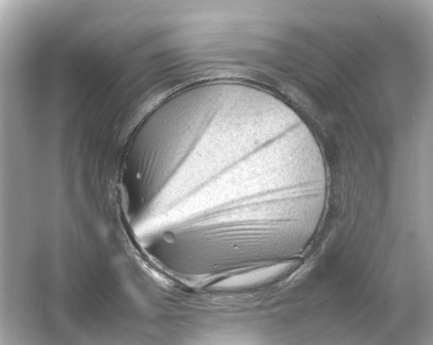 X0000065980985200603241935