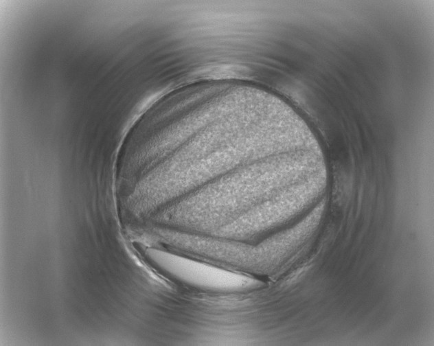 X0000065980986200603241935