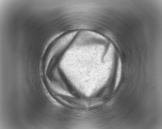 X0000065980987200603241935