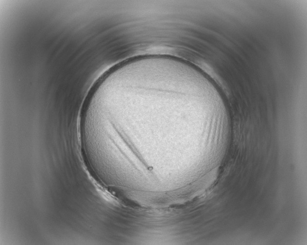 X0000065980988200603241935