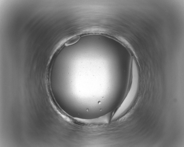 X0000065980989200603241935