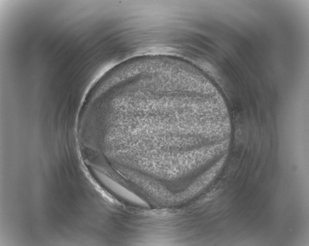 X0000065980990200603241935