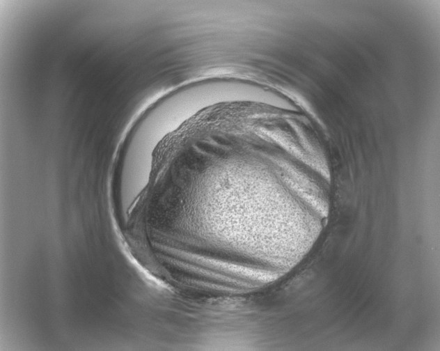 X0000065980991200603241935