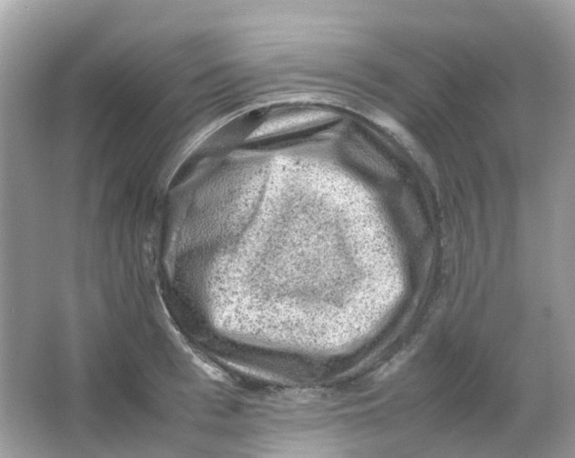 X0000065980993200603241935