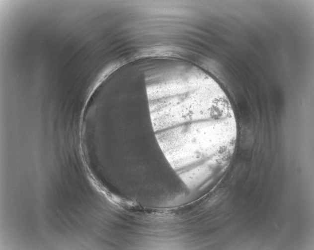 X0000065980994200603241935