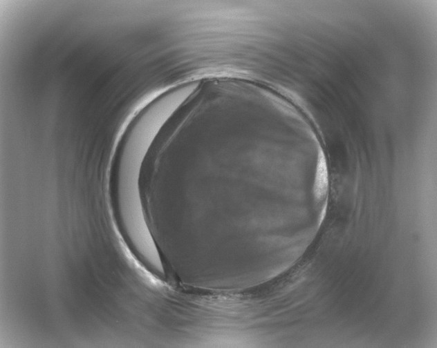 X0000065980995200603241935