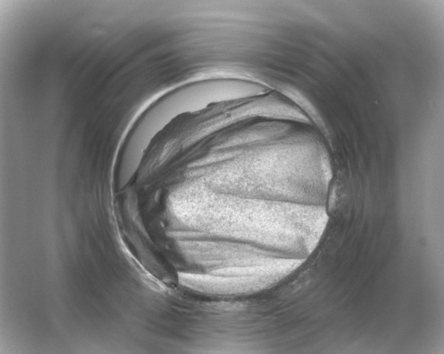 X0000065980996200603241935