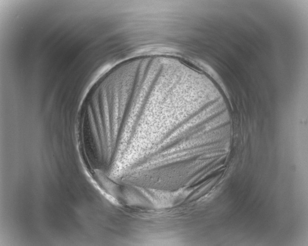 X0000065980997200603241935