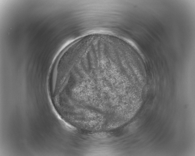 X0000065980999200603241934