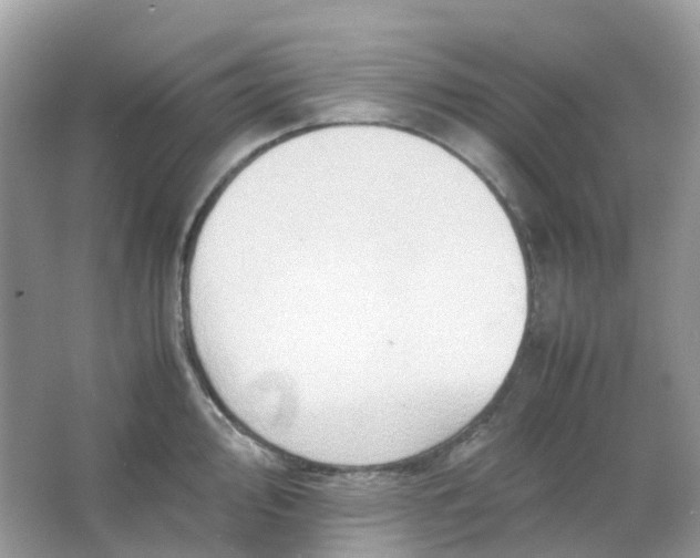 X0000065981000200603241934