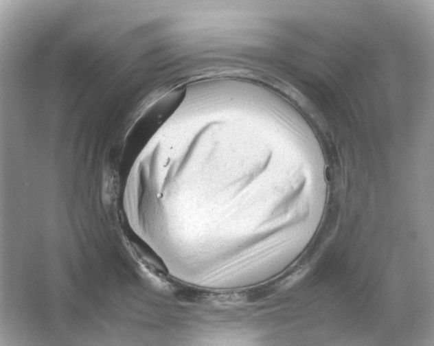 X0000065981001200603241934