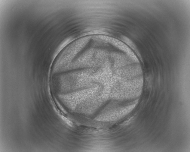 X0000065981002200603241934