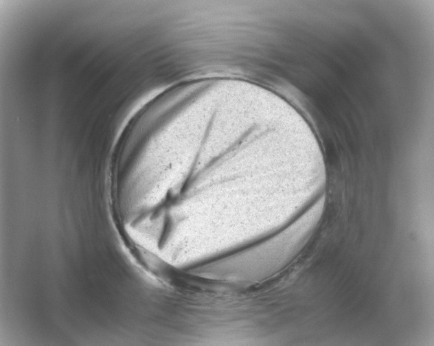 X0000065981003200603241934