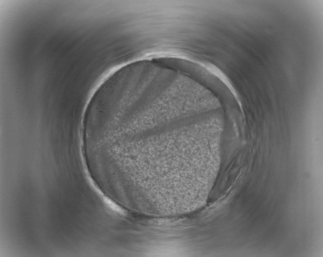 X0000065981005200603241934