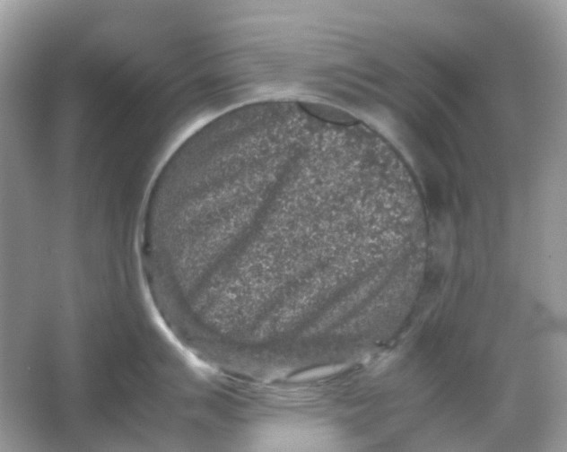 X0000065981007200603241934