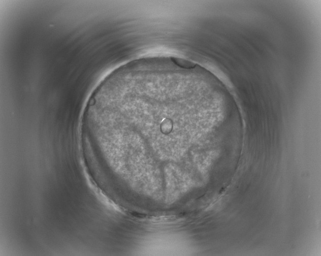 X0000065981008200603241934