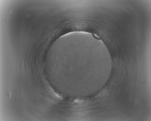 X0000065981009200603241934