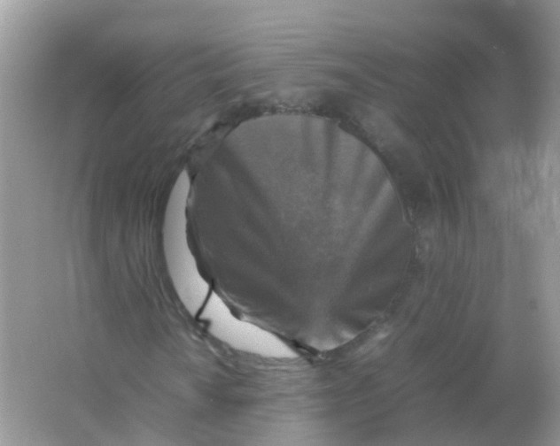 X0000065981010200603241934