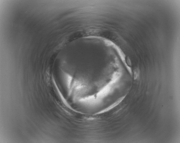 X0000065981011200603241934